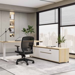 Boost Executive Desk